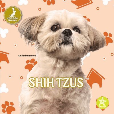 Shih Tzus 1