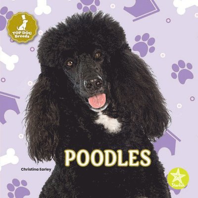 Poodles 1