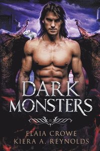 bokomslag Dark Monsters
