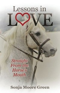 bokomslag Lessons in Love