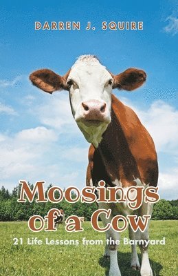 Moosings of a Cow 1