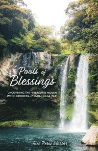 bokomslag Pools of Blessings