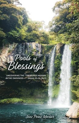 Inez Perez Marlar - Pools of Blessings, Häftad