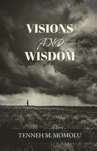 bokomslag Visions and Wisdom