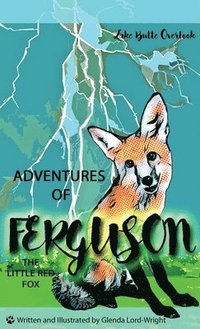 bokomslag Adventures of Ferguson, the Little Red Fox