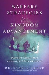 bokomslag Warfare Strategies for Kingdom Advancement