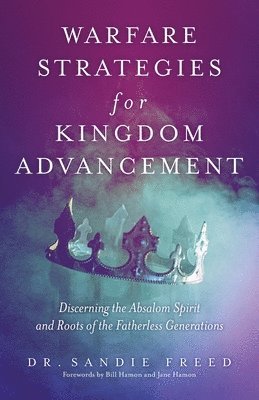 bokomslag Warfare Strategies for Kingdom Advancement