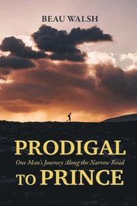 bokomslag Prodigal to Prince