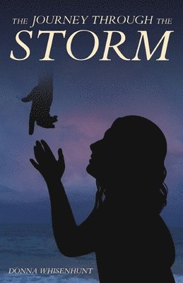 bokomslag Journey Through the Storm