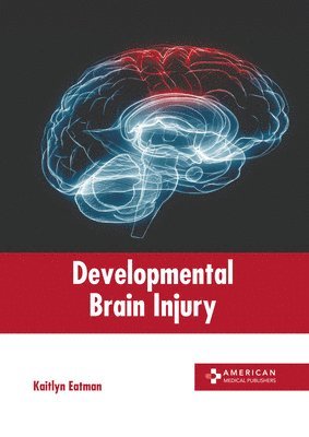 bokomslag Developmental Brain Injury