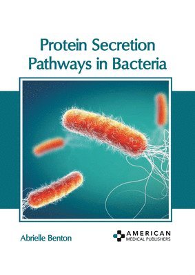 bokomslag Protein Secretion Pathways in Bacteria