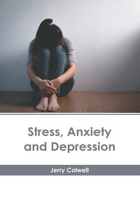 bokomslag Stress, Anxiety and Depression