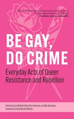 Be Gay, Do Crime 1