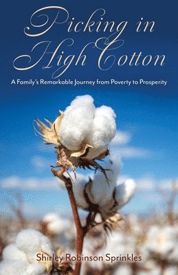 Picking in High Cotton 1