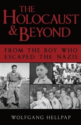 bokomslag Holocaust and Beyond