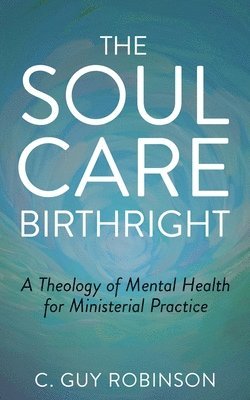 bokomslag The Soul Care Birthright