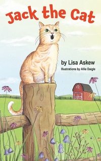 bokomslag Jack the Cat