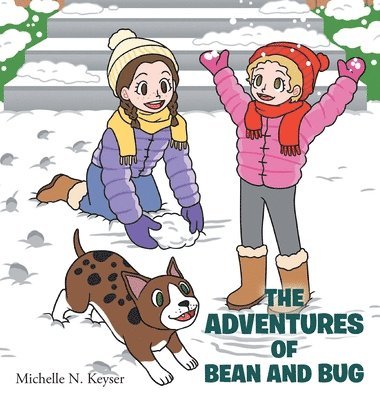 bokomslag Adventures of Bean and Bug