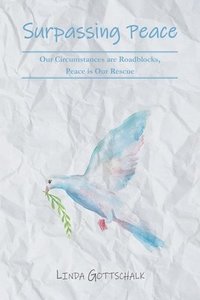 bokomslag Surpassing Peace
