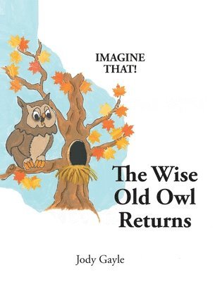 bokomslag The Wise Old Owl Returns