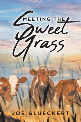 Meeting the Sweet Grass 1