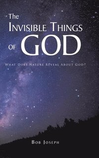 bokomslag The Invisible Things of God