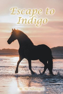 Escape to Indigo 1