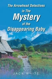 bokomslag Arrowhead Detectives in The Mystery of the Disappearing Baby