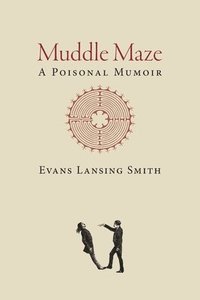 bokomslag Muddle Maze