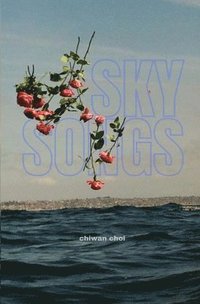 bokomslag Sky Songs