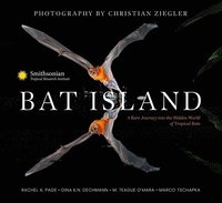bokomslag Bat Island
