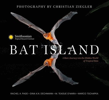 bokomslag Bat Island