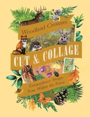 Cut & Collage Woodland Creatures: Extraordinary Images from Within the Forest 1