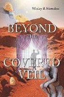bokomslag Beyond the Covered Vail