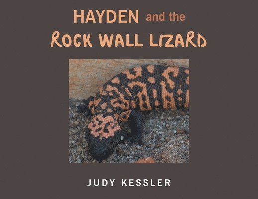 Hayden and the Rock Wall Lizard 1