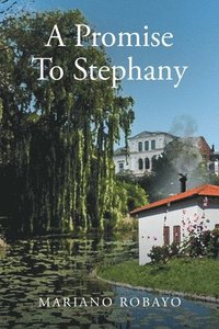 bokomslag A Promise To Stephany
