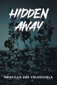 bokomslag Hidden Away