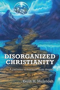 bokomslag Disorganized Christianity