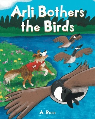 Arli Bothers the Birds 1