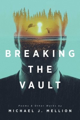 bokomslag Breaking the Vault