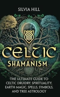 bokomslag Celtic Shamanism