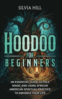 bokomslag Hoodoo for Beginners