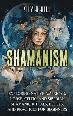 bokomslag Shamanism