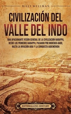 Civilizacin del valle del Indo 1