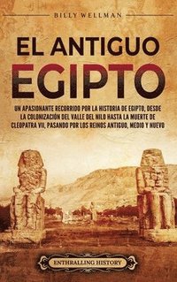 bokomslag El antiguo Egipto