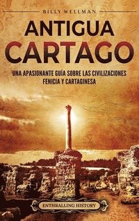 bokomslag Antigua Cartago