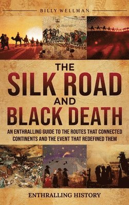 bokomslag Silk Road and Black Death