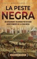 bokomslag La peste negra