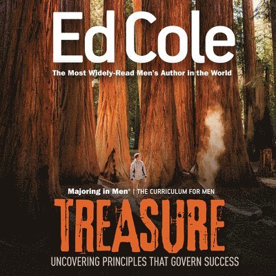 Treasure Workbook: Uncovering Principles That Govern Success 1