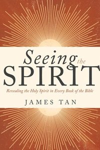 bokomslag Seeing the Spirit: Revealing the Holy Spirit in Every Book of the Bible